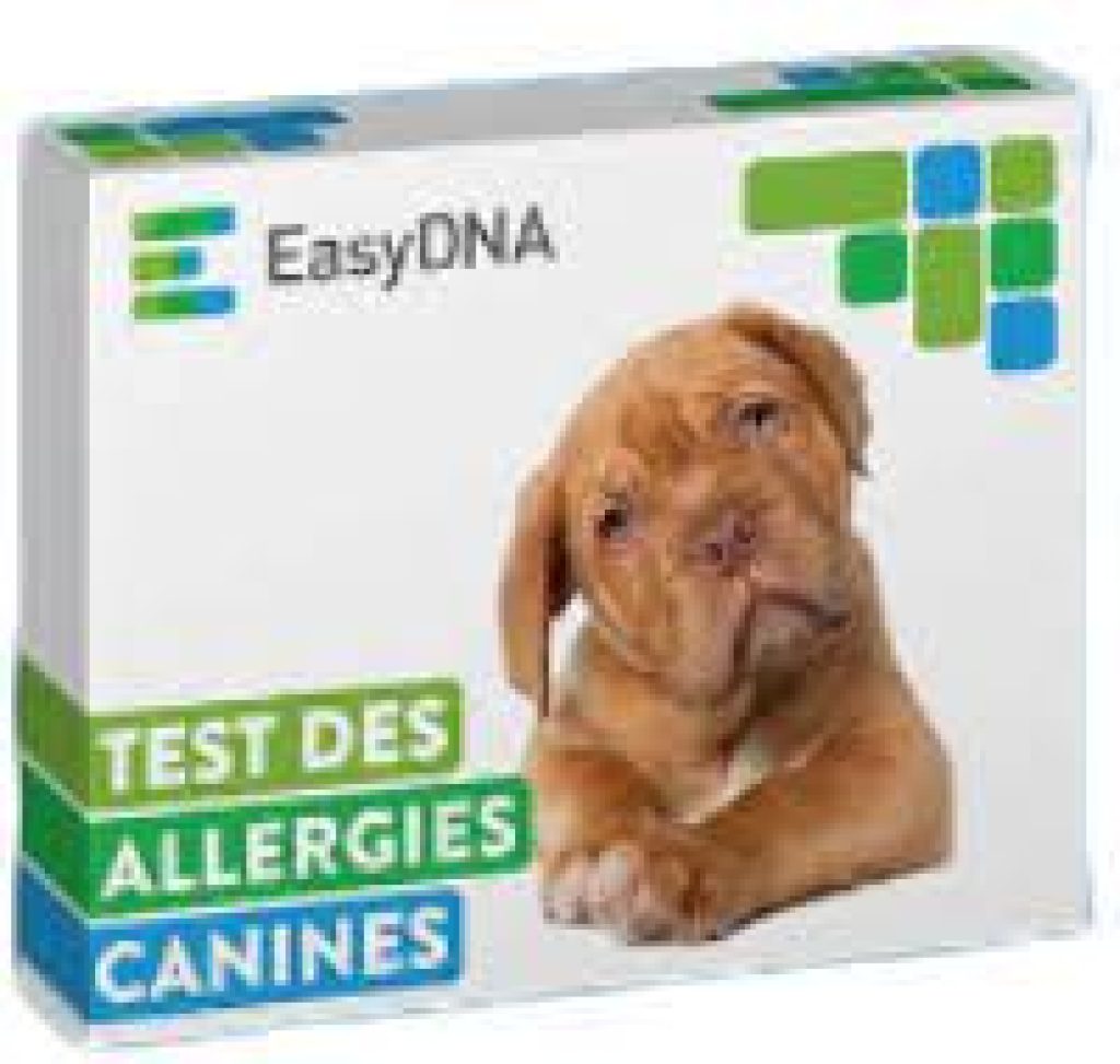 Test ADN chien : Avis et guide complet de présentation des tests génétiques  canins en France aux meilleurs prix (2024)